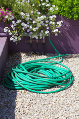 plastic hose