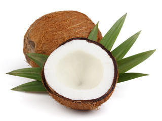 Coconut with leaves