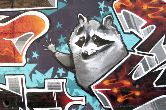 Graffiti de un mapache, arte urbano