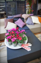 garden decoration