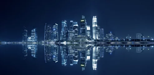 Poster Singapore Skyline at night © bennnn