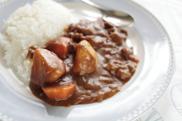 Japanese cuisine, pork and vegetable curry rice