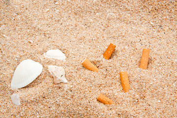 Shell and Cigarette on Yellow Sand Texture