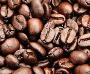 coffee bean closeup