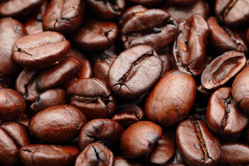 coffee bean closeup