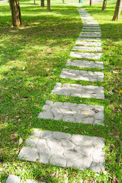 stone walkway through forest