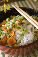 rice noodle with vegetable