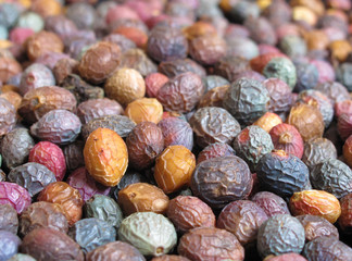Pistacia atlantica