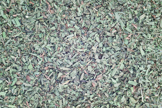 Chopped tarragon for use as background