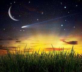 field of grass against a nice sunset scene and big moon