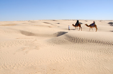Fototapeta na wymiar méharée sahara occidental 4