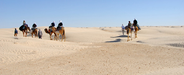 méharée sahara occidental  panoramique