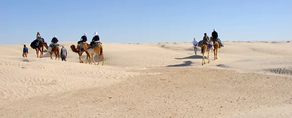 Foto op Canvas schilderachtige kameelrit in de westelijke sahara © fannyes