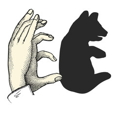 Ombres chinoises : l'Ours