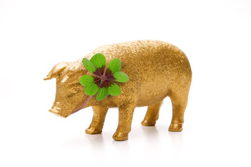 Glückschwein