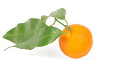 Tangerine with green leaves