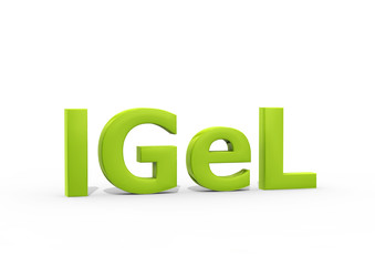 3D_words_IGel_01