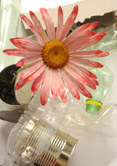 Waste sorting Müllsortieranlage Сортування сміття