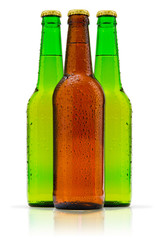 bottles of beer on white background