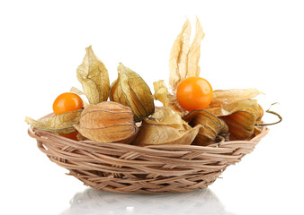 Physalis in basket isolated on white