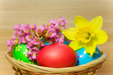 Fototapeta na wymiar Colored eggs laying in wood basket
