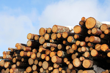 Cut wood fuel with snow, blue sky and few clouds