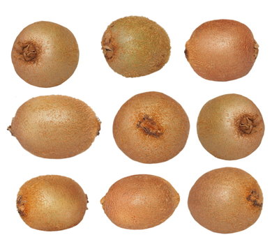 Set Kiwi fruit isolated on white background