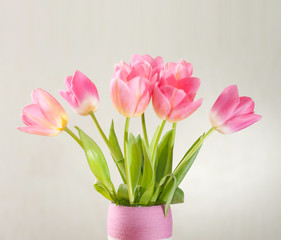 Pink tulips in vase