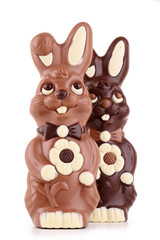 isolated chocolate bunny