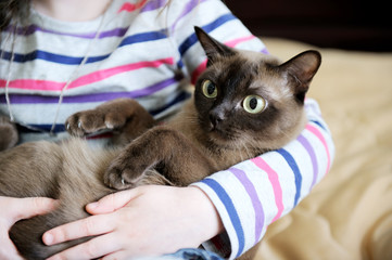 Girl with a kitten in her arms