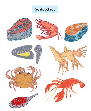 seafood set hand drawn illustrations