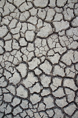 earth cracked detail background.