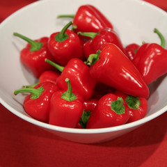 Rote Paprika