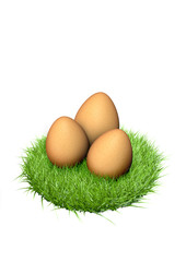 oeufs