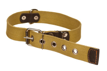 Dog collar