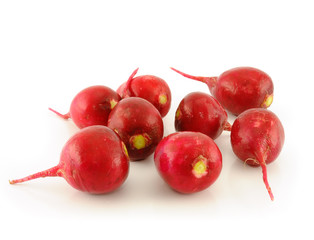Fresh radishes  on white background