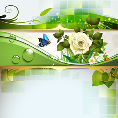 Springtime background with rose and butterfly