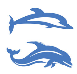 two dolphins on white background