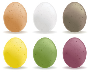 Speckled eggs
