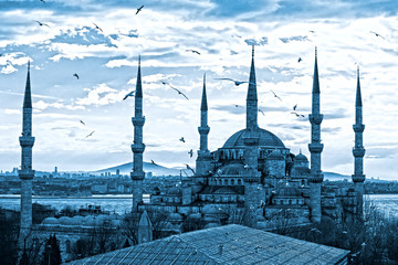 Fototapeta na wymiar The Blue Mosque, Istanbul, Turkey.