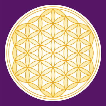 Flower of Life golden gradient. Geometrical figure, composed of overlapping circles. Strong symbol since ancient times, forming a flower-like pattern. Illustration on purple background. Vector.