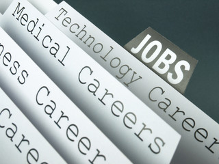 Job and education careers