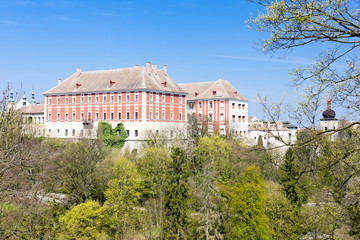 Fototapeta na wymiar Opocno Palace, Czech Republic