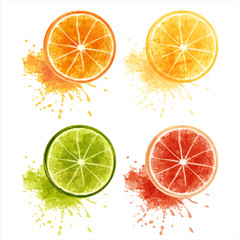 Citrus fruits - 39781712