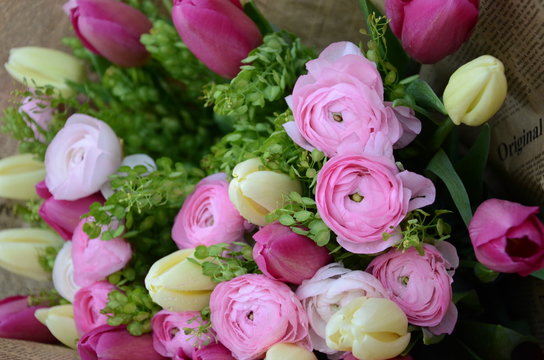Spring Flowers