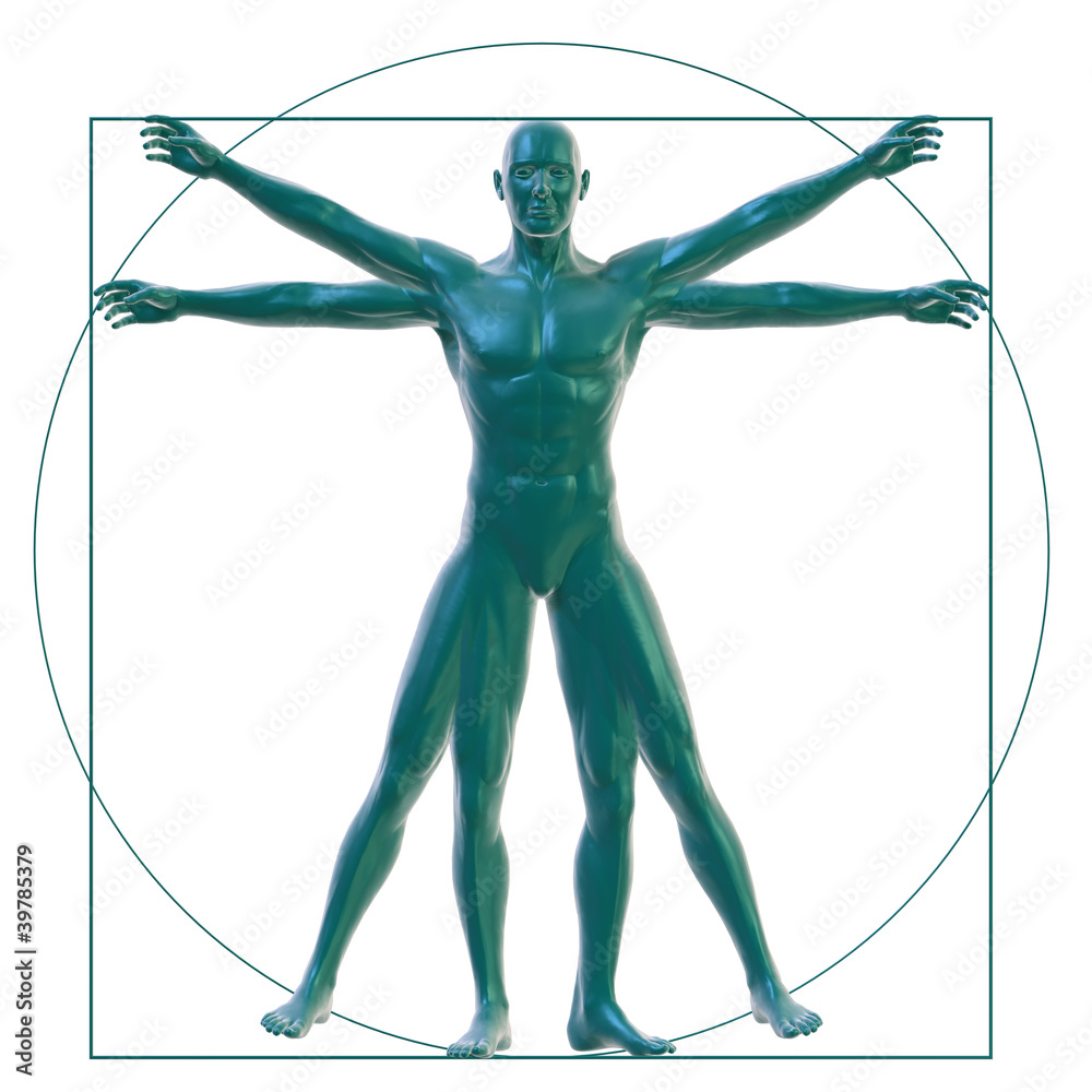 Wall mural Vitruvian man on white