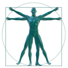 Vitruvian man on white