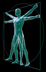 Vitruvian man on black three-quarter view