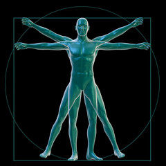 Vitruvian man on black