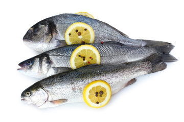 Fresh fishes with lemon and pepper isolated on white